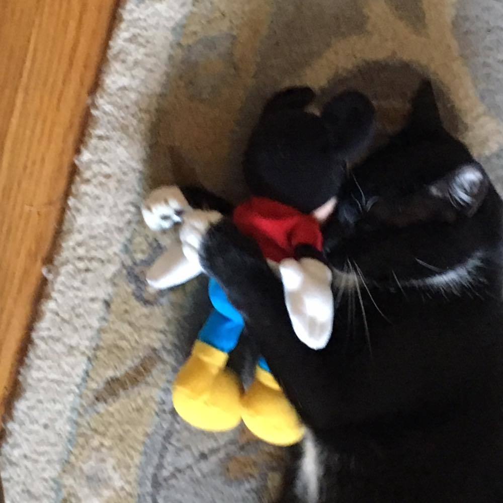 Meet your Posher, Mich